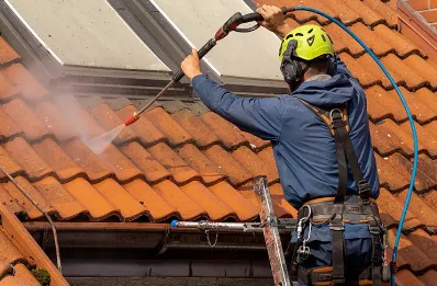 Démoussage et hydrofuge de toiture à Bessins